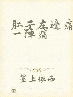 肚子左边痛一阵一阵痛封面