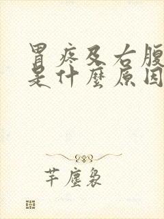 胃疼及右腹部疼是什么原因封面