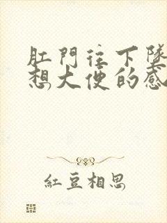 肛门往下坠还有想大便的感觉是怎么回事