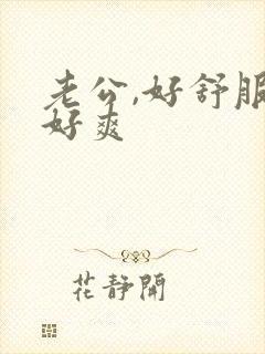 老公,好舒服,好爽封面