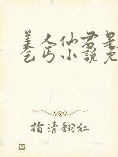 美人仙君是报恩乞丐小说免费阅读封面