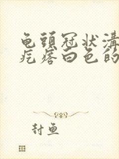 龟头冠状沟长小疙瘩白色的像菜花