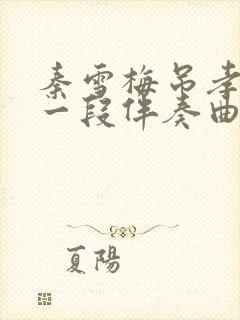 秦雪梅吊孝哭灵一段伴奏曲