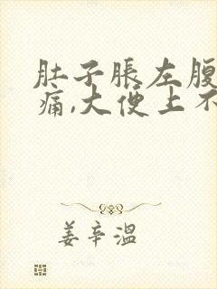 肚子胀左腹部疼痛,大便上不出来