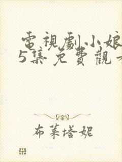 电视剧小娘惹45集免费观看大结局