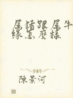 属猪跟属牛的姻缘怎么样