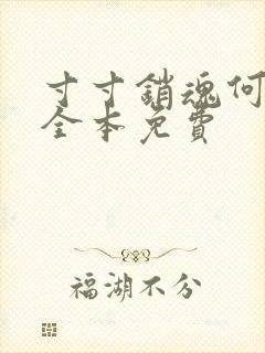 寸寸销魂何生祥全本免费