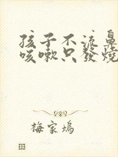 孩子不流鼻涕不咳嗽只发烧