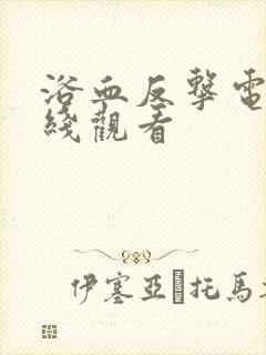 浴血反击电影在线观看