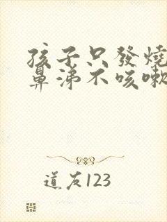 孩子只发烧不流鼻涕不咳嗽吃什么药