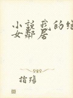 小说 我的绝色女邻居封面