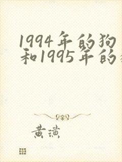 1994年的狗和1995年的猪婚姻相配吗
