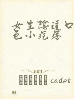 女生阴道口有白色小疙瘩