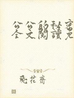 公公的秘密小说全文阅读免费封面