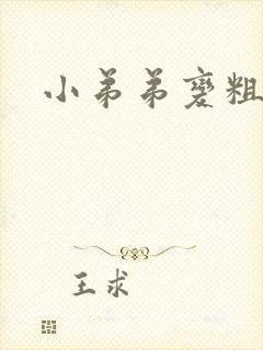 小弟弟变粗变粗封面