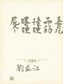 屁眼后面长了一个硬硬的疙瘩