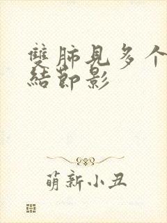 双肺见多个微小结节影