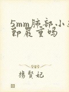 5mm肺部小结节严重吗