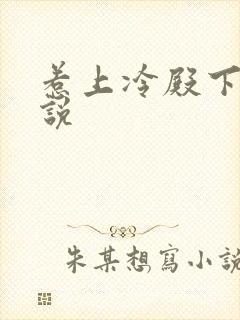 惹上冷殿下 小说