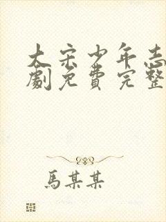 大宋少年志电视剧免费完整版封面