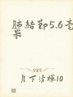 肺结节5.6毫米