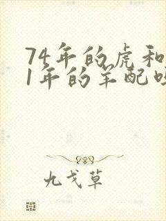 74年的虎和91年的羊配吗