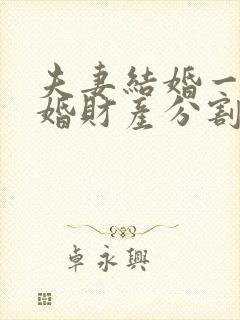 夫妻结婚一年离婚财产分割