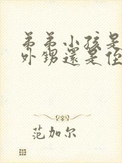 弟弟小孩是我的外甥还是侄子