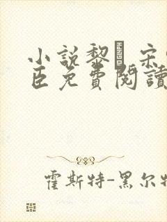小说黎� 宋轻臣免费阅读