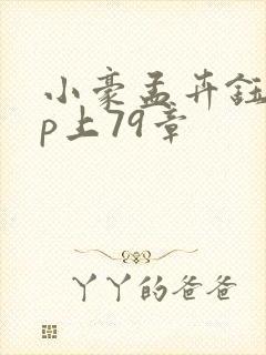 小豪孟卉钰慧三p上79章