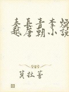 秦长青李焕儿穿越唐朝小说书名叫什么