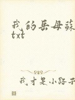 我的岳母苏霈真txt