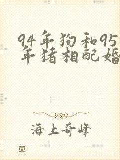 94年狗和95年猪相配婚姻如何