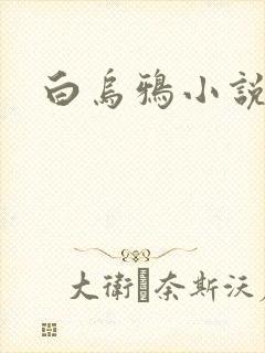 白乌鸦小说