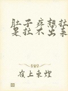 肚子疼想拉屎但是拉不出来是怎么回事