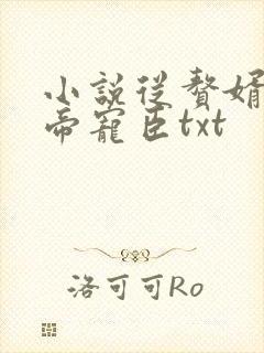 小说从赘婿到女帝宠臣txt