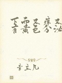 下面又痒又疼还有黄色分泌物用什么药