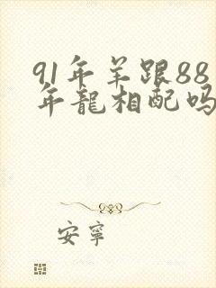 91年羊跟88年龙相配吗封面