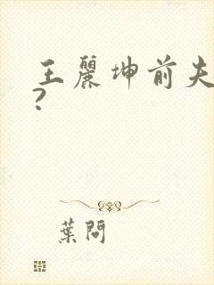 王丽坤前夫是谁?