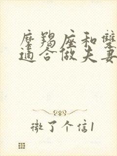 摩羯座和双子座适合做夫妻吗