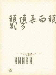 头顶长白头发特别多