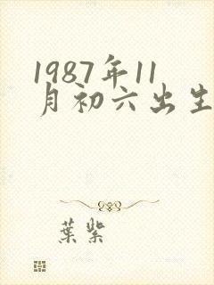 1987年11月初六出生的命运封面
