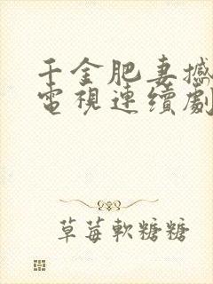 千金肥妻撼武林电视连续剧封面