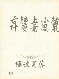 右肺上小结节是什么意思严重吗