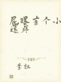 屁眼有个小肉球还疼