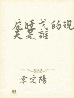 庞晓戈的现任丈夫是谁