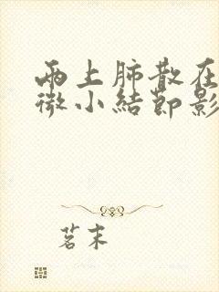 两上肺散在多发微小结节影封面