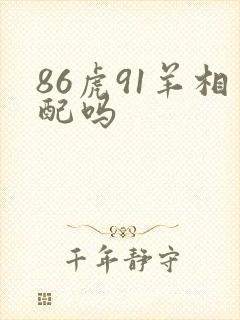 86虎91羊相配吗封面
