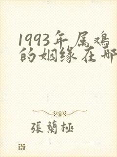 1993年属鸡的姻缘在哪年最旺盛呢