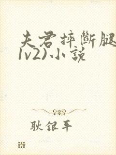 夫君摔断腿后(1v2)小说